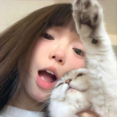 城南茶寮·前传